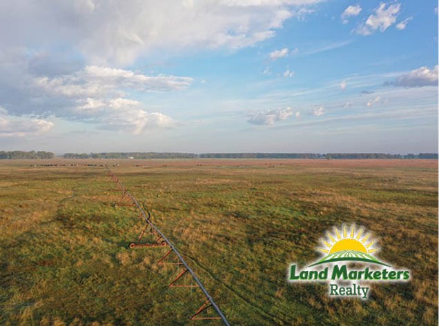 Image for 320+/- Acres located approx. 7 miles South of O'Neill, NE