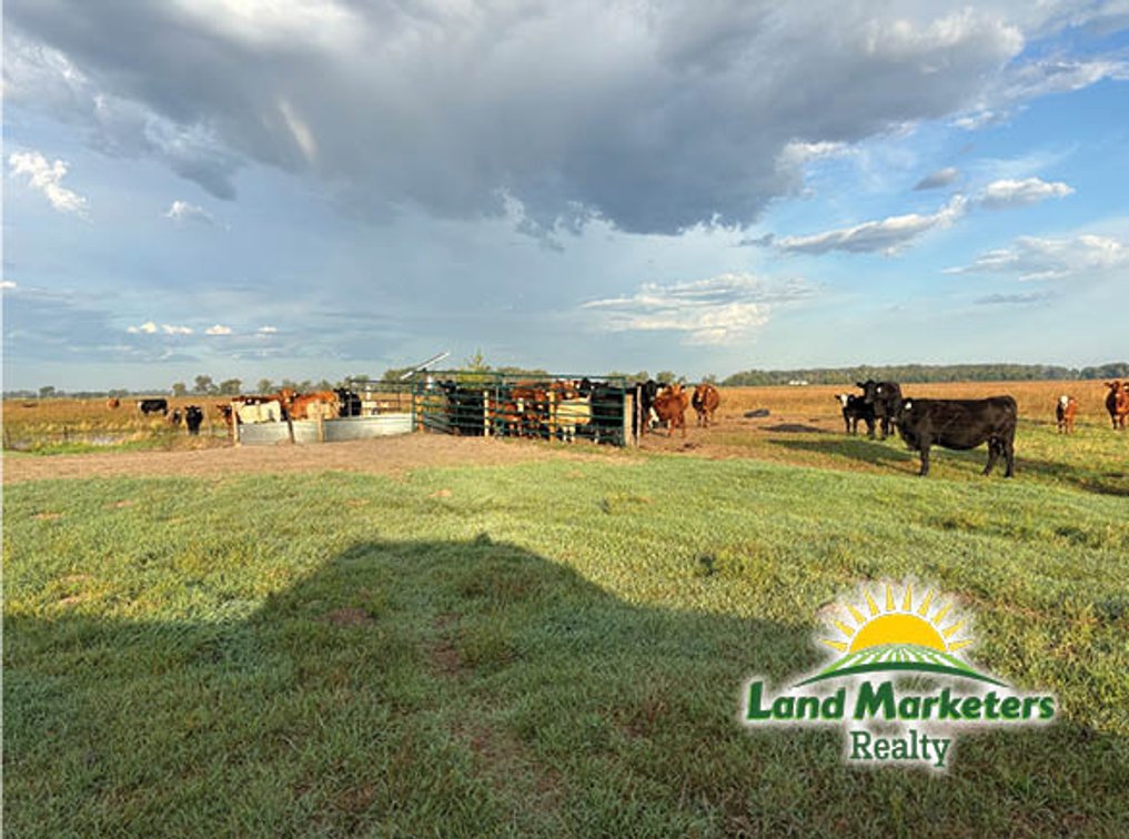 Image for 320+/- Acres located approx. 7 miles South of O'Neill, NE