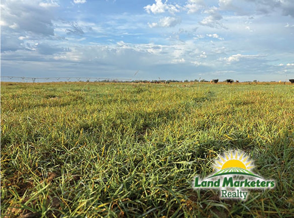 Image for 320+/- Acres located approx. 7 miles South of O'Neill, NE