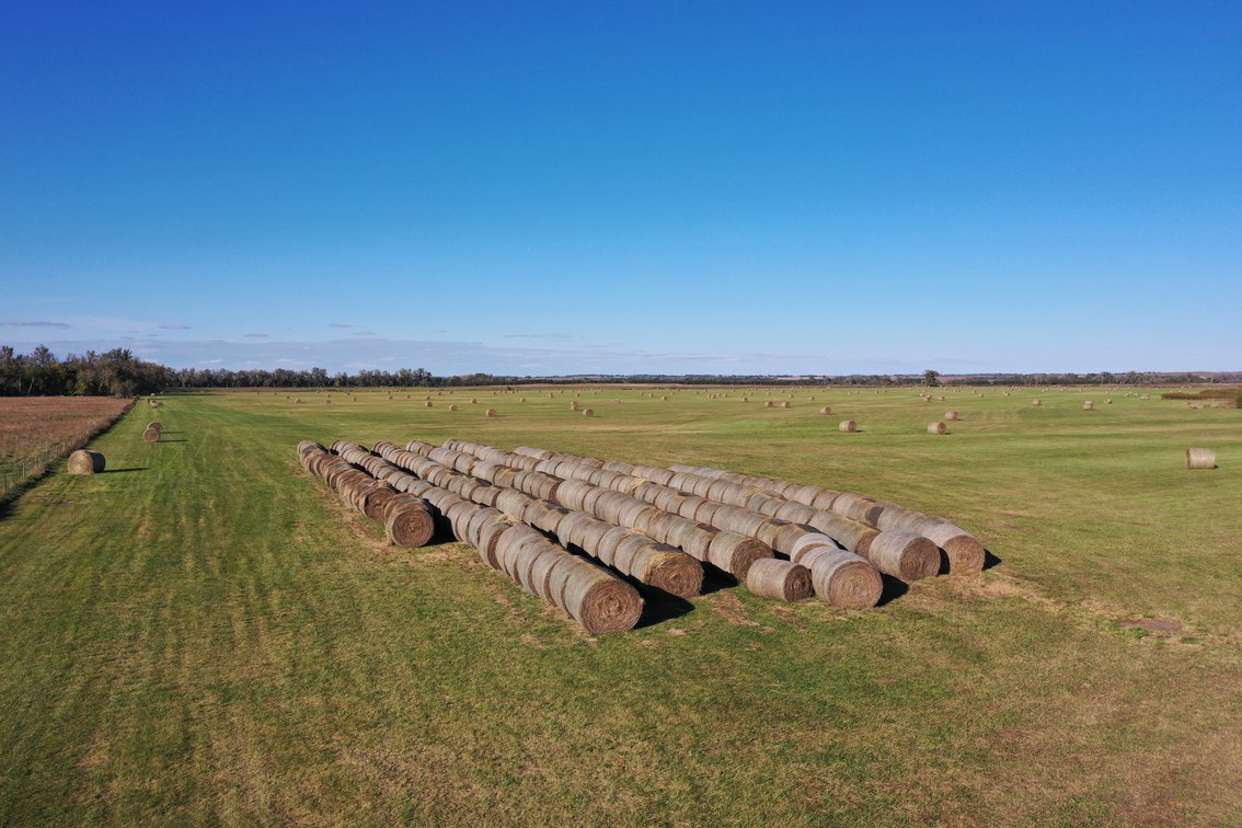 Image for 160+/- Acres of Sub-irrigated hay meadow in Holt County, NE
