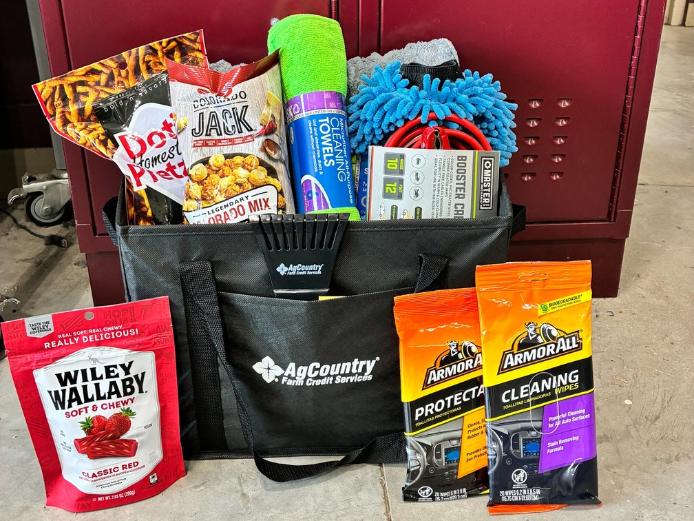 Car Care and Snack Bag