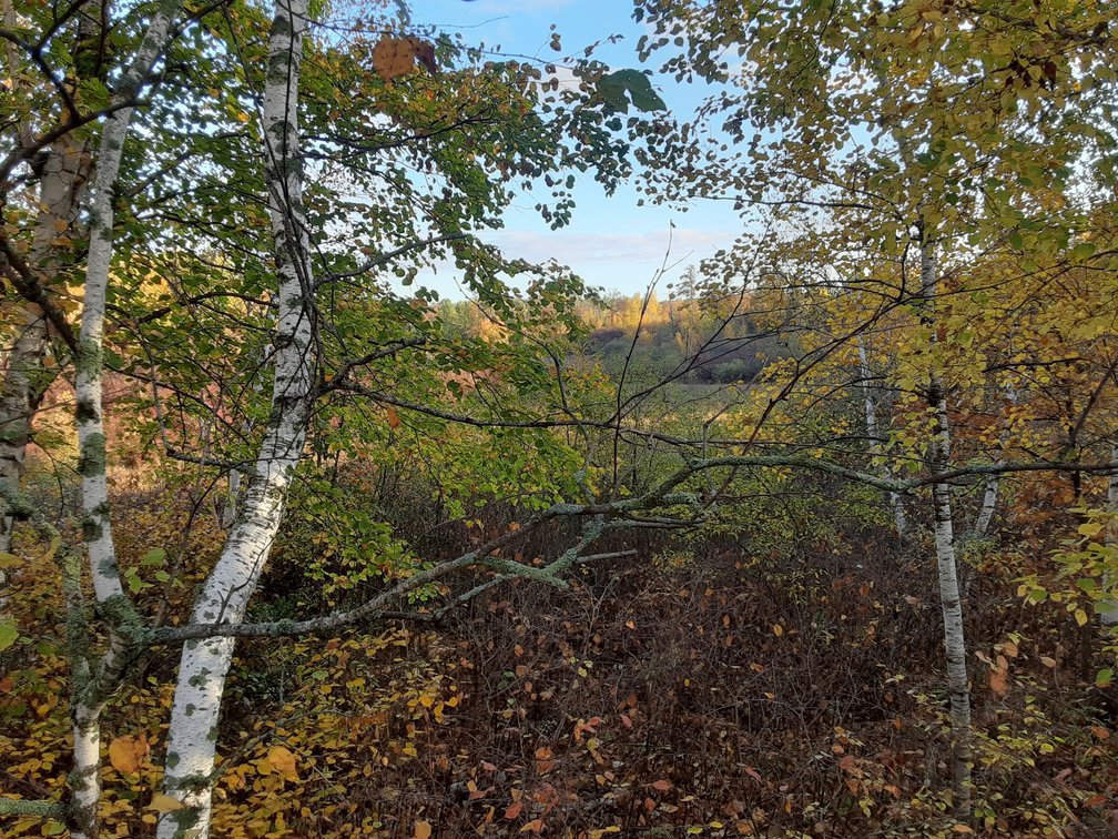 Image for Hunting/Recreation Land Hubbard County MN Online Only Auction