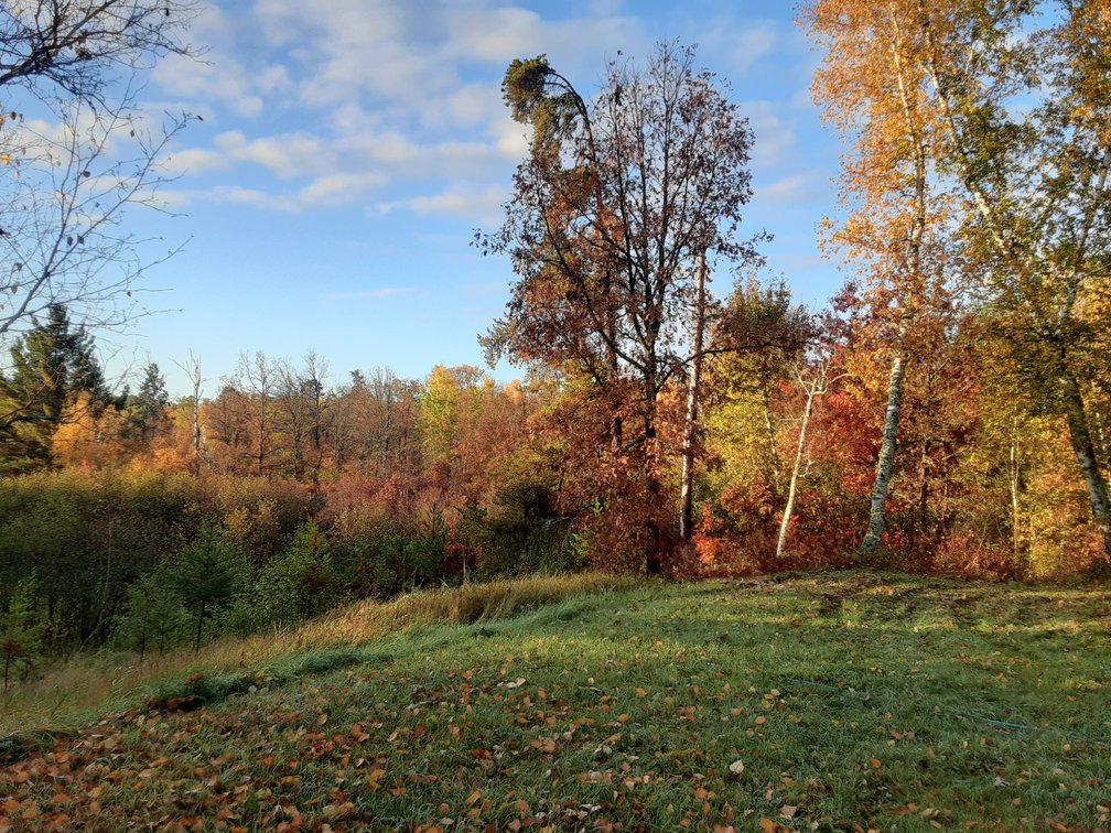 Image for Hunting/Recreation Land Hubbard County MN Online Only Auction