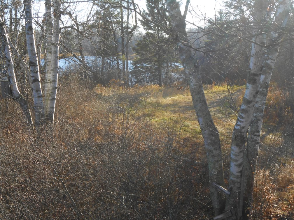 Image for Hunting/Recreation Land Hubbard County MN Online Only Auction