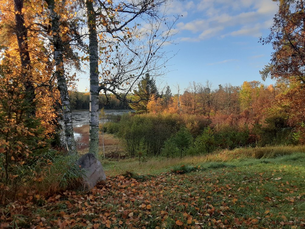 Image for Hunting/Recreation Land Hubbard County MN Online Only Auction