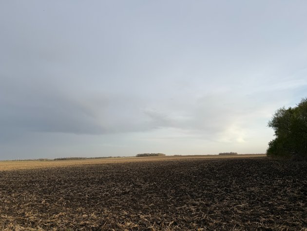 Image for Parcel #3 160.23 Surveyed Acres Lac Qui Parle Township Section 21, 148.78 +/- Tillable Acres Township 118, Range 42 PID # 22-0080-000 CPI 90