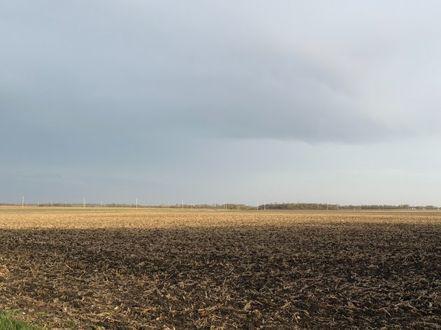 Image for Parcel #3 160.23 Surveyed Acres Lac Qui Parle Township Section 21, 148.78 +/- Tillable Acres Township 118, Range 42 PID # 22-0080-000 CPI 90