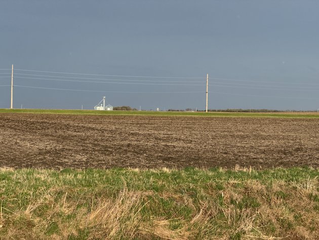Image for Parcel #3 160.23 Surveyed Acres Lac Qui Parle Township Section 21, 148.78 +/- Tillable Acres Township 118, Range 42 PID # 22-0080-000 CPI 90