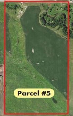 Image for Parcel #5 80.20 Surveyed Acres Lac Qui Parle Township Section 35, 38.27 +/- Tillable Acres Township 118, Range 42 PID # 22-0240-000