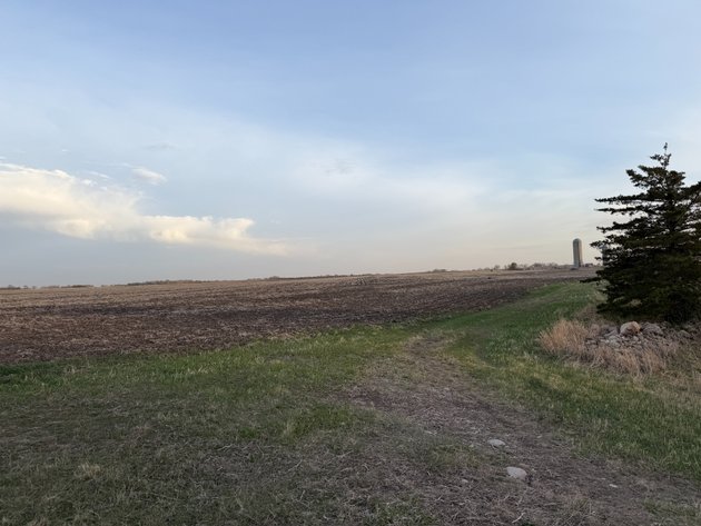 Image for Parcel #5 80.20 Surveyed Acres Lac Qui Parle Township Section 35, 38.27 +/- Tillable Acres Township 118, Range 42 PID # 22-0240-000