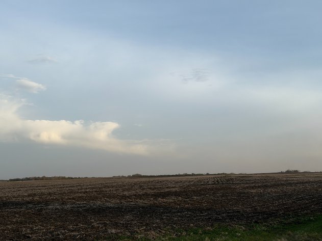 Image for Parcel #5 80.20 Surveyed Acres Lac Qui Parle Township Section 35, 38.27 +/- Tillable Acres Township 118, Range 42 PID # 22-0240-000