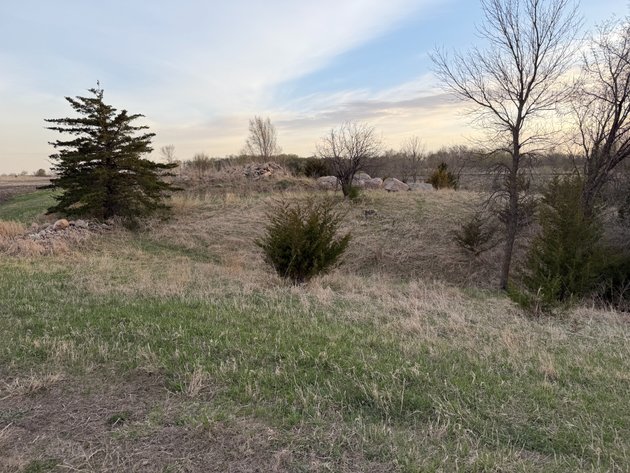 Image for Parcel #5 80.20 Surveyed Acres Lac Qui Parle Township Section 35, 38.27 +/- Tillable Acres Township 118, Range 42 PID # 22-0240-000