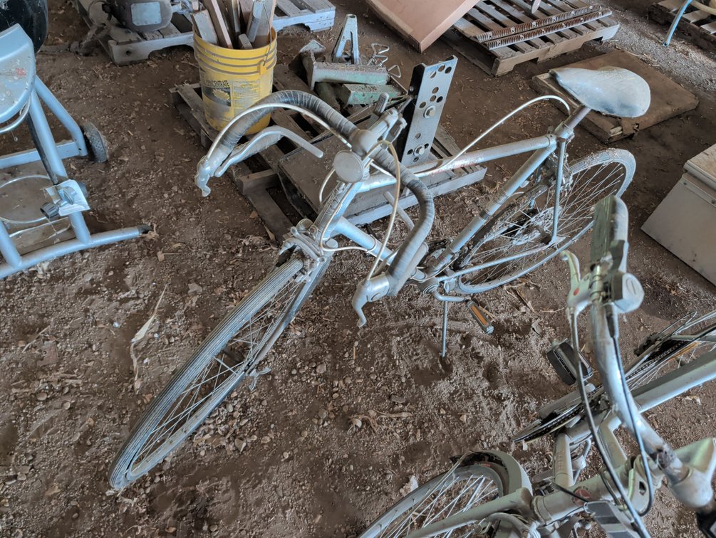 COAST KING BIKE