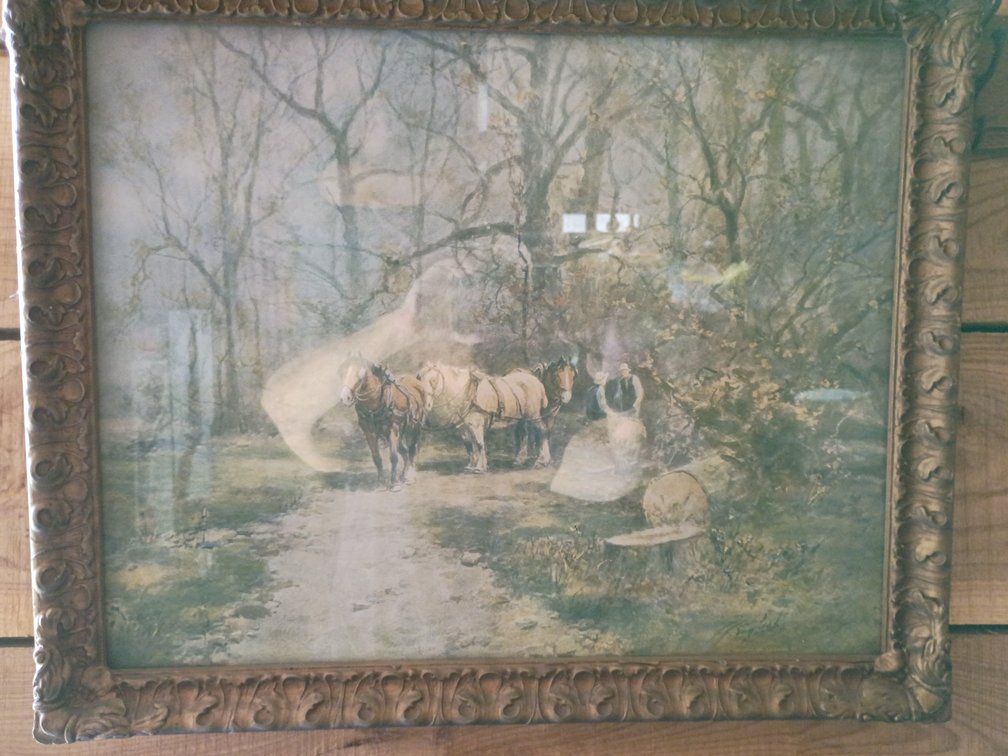 1909 Litho