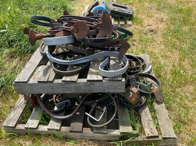 Image for ASSORTMENT OF S TINES