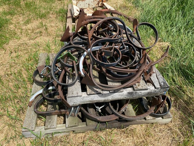 Image for ASSORTMENT OF S TINES
