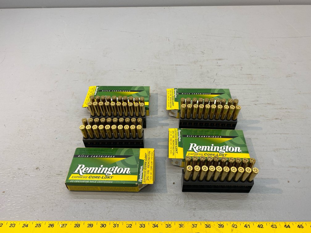 REMINGTON 25-06 ROUNDS