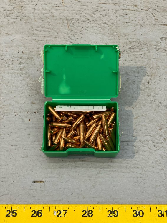.22 CAL BULLETS