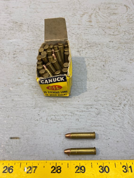APPROX 35 CANUCK .25 STEVENS LONG 65 GRAIN BULLETS