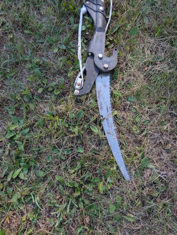 Image for POLE SAW