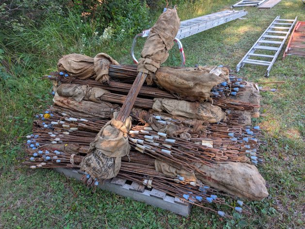 Image for WEED BURNERS