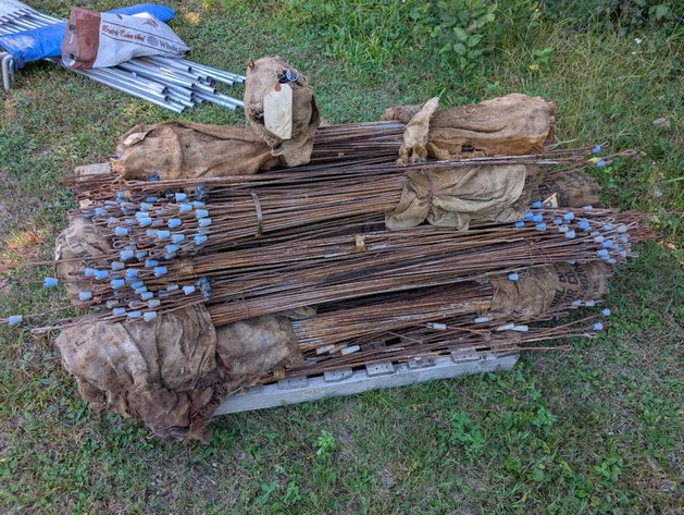 Image for WEED BURNERS