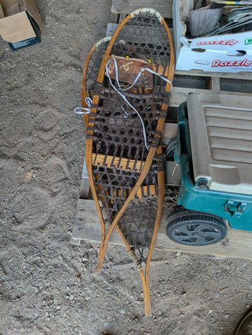 Image for SNOW SHOES