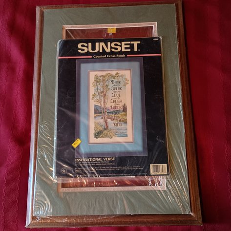 Image for Cross Stitch kit/frame and completed piece