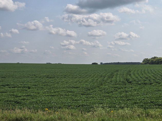 Image for Stevens County Land Online Only Auction
