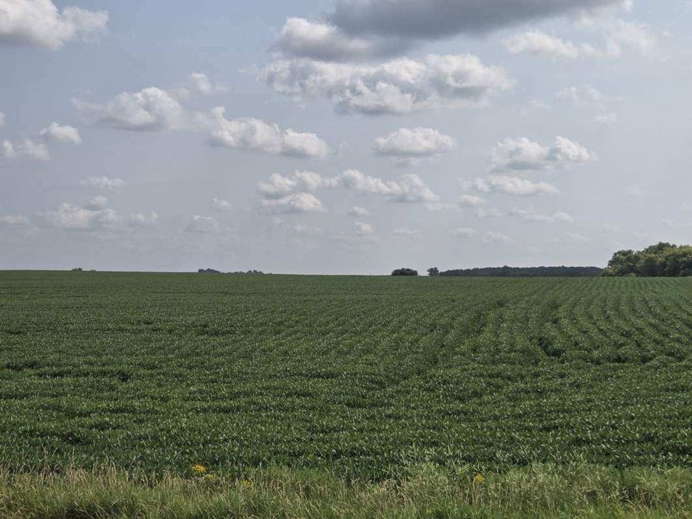 Image for Stevens County Land Online Only Auction