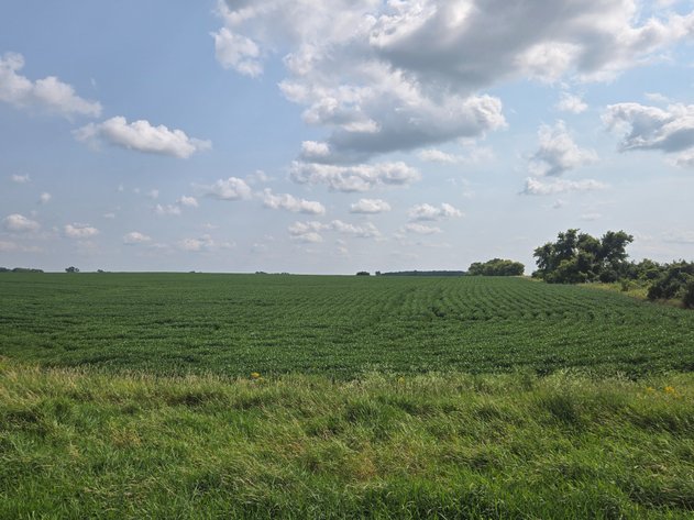 Image for Stevens County Land Online Only Auction