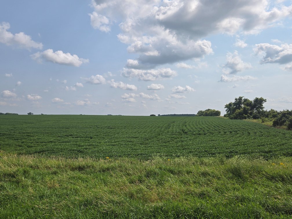 Image for Stevens County Land Online Only Auction