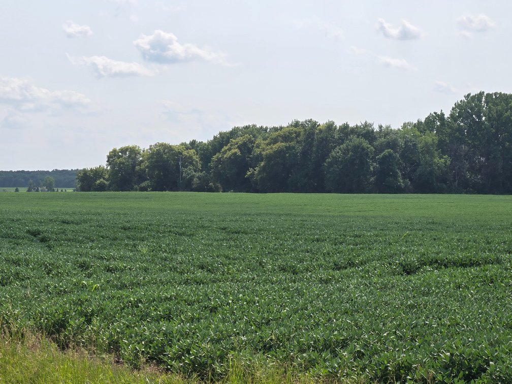 Image for Stevens County Land Online Only Auction