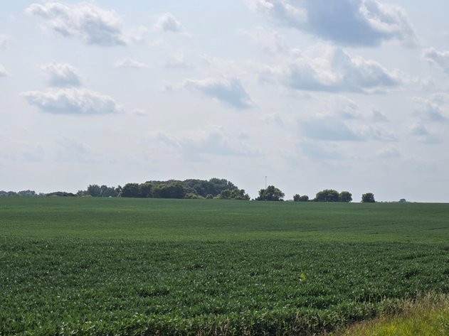 Image for 131.23 Surveyed Acres  Stevens County MN  Rendsville Township  Section 22 - Township 126 - Range 42  PID # 08-0069-000 & 08-0108-000