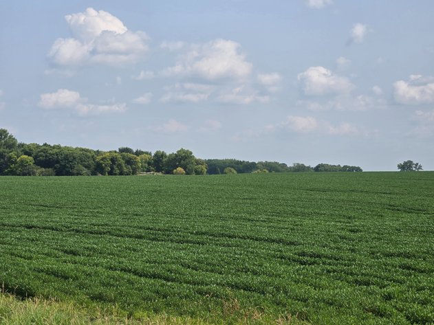 Image for Stevens County Land Online Only Auction