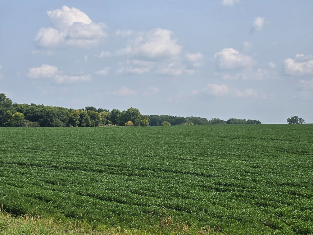Image for Stevens County Land Online Only Auction
