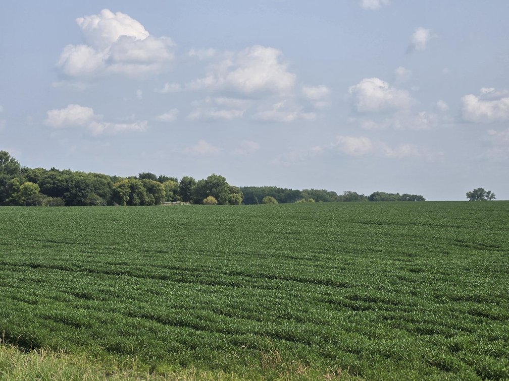 Image for Stevens County Land Online Only Auction