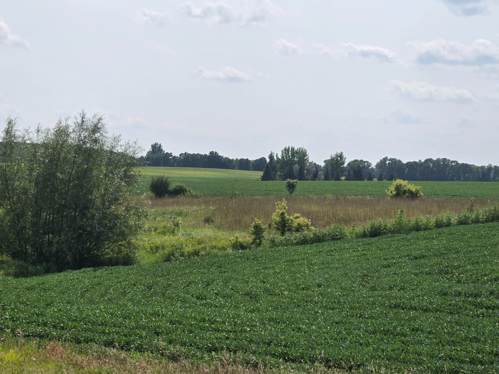 Image for Stevens County Land Online Only Auction