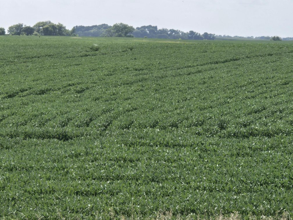 Image for Stevens County Land Online Only Auction