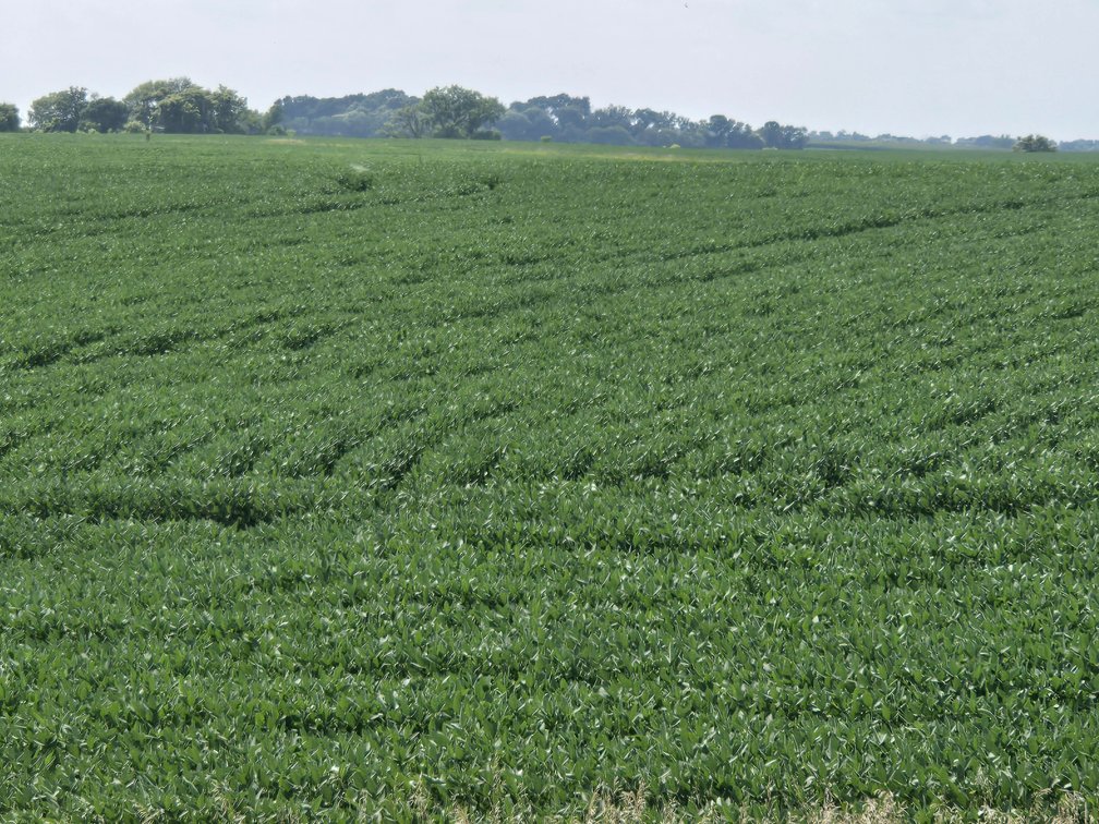 Image for Stevens County Land Online Only Auction