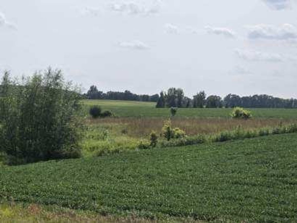 Image for Stevens County Land Online Only Auction