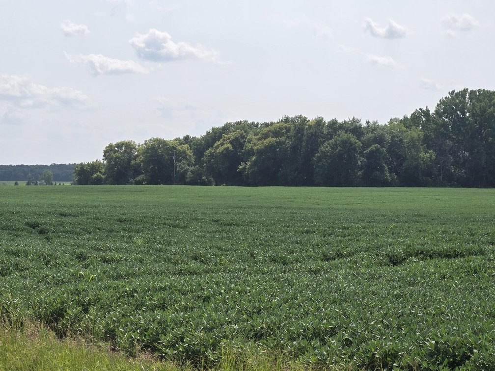 Image for Stevens County Land Online Only Auction