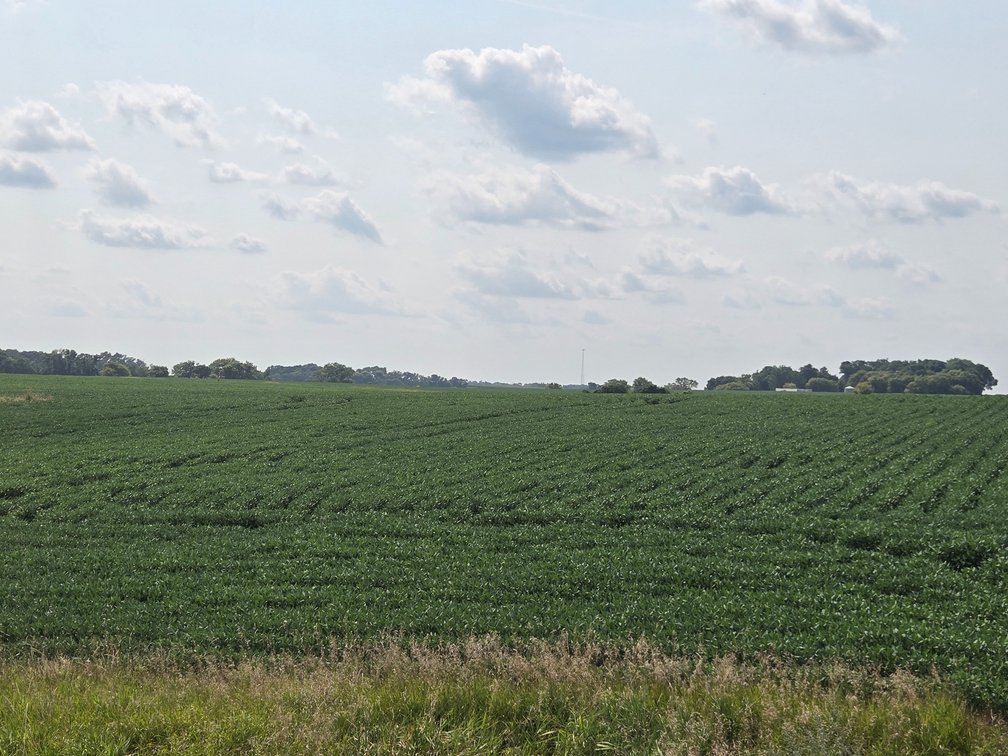 Image for Stevens County Land Online Only Auction