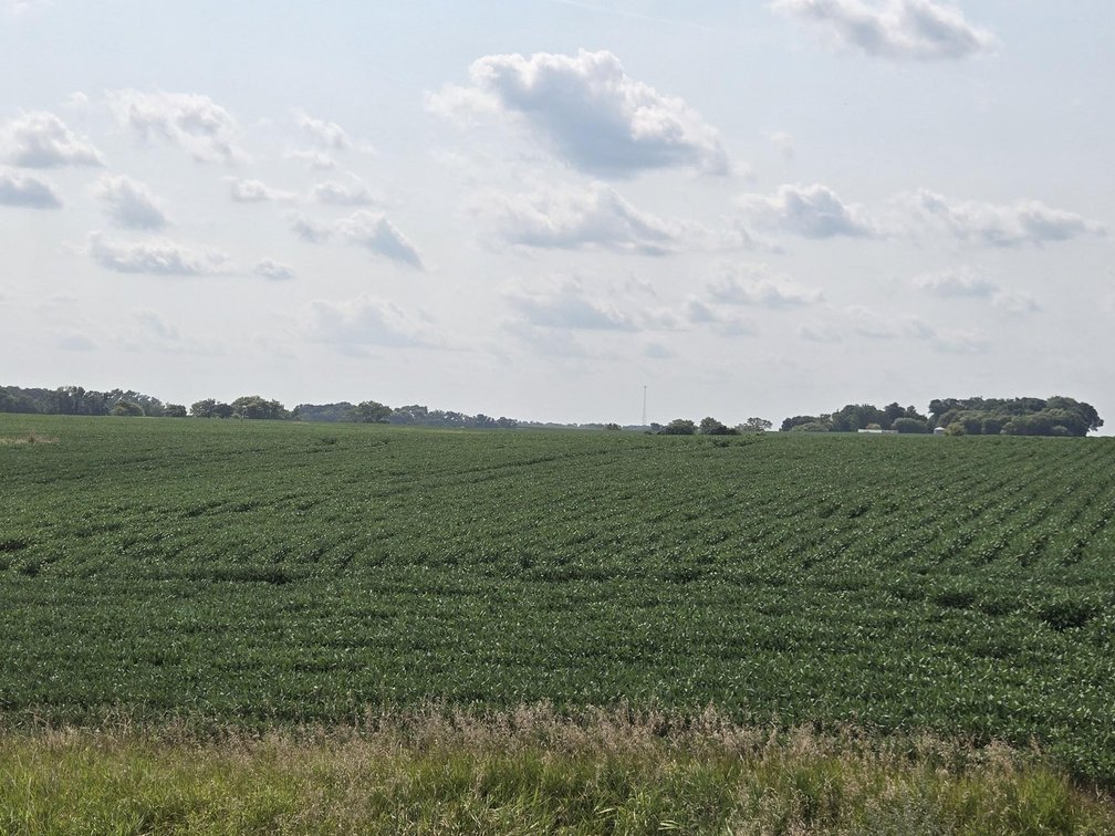 Image for Stevens County Land Online Only Auction