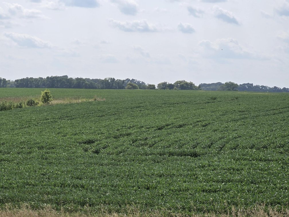 Image for Stevens County Land Online Only Auction