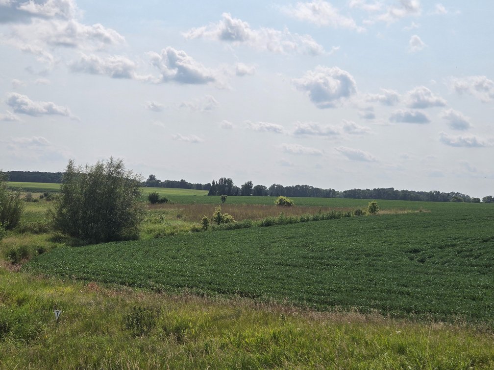 Image for Stevens County Land Online Only Auction