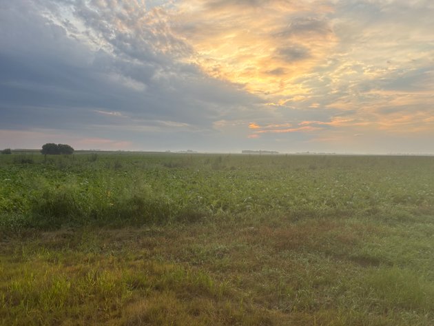 Image for PARCEL #1  93.50 SURVEYED ACRES 88.38+/- TILLABLE ACRES  3.2 CRP ACRES  PARCEL ID 12-0143-000 CPI 91.7 SEC 28 KILDARE TWP SWIFT COUNTY