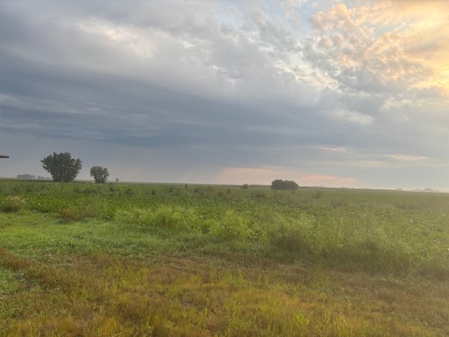 Image for PARCEL #1  93.50 SURVEYED ACRES 88.38+/- TILLABLE ACRES  3.2 CRP ACRES  PARCEL ID 12-0143-000 CPI 91.7 SEC 28 KILDARE TWP SWIFT COUNTY