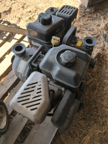 Image for PUMPS