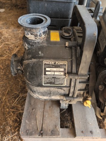 Image for PUMPS